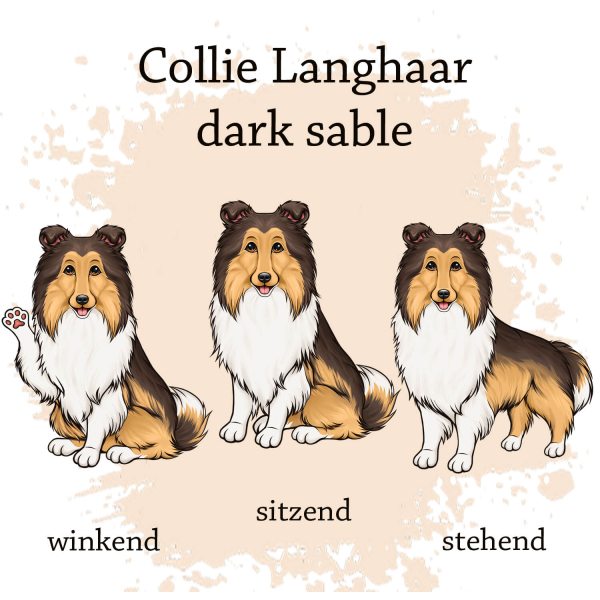 Motivauswahl für die Impfpasshülle Collie Langhaar dark sable